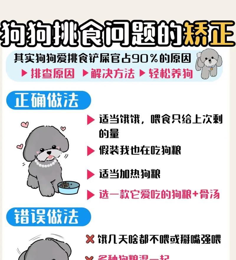 如何防止幼犬吃猫粮？幼犬误食猫粮的解决方法是什么？
