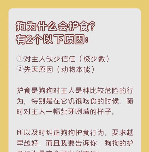 如何防止幼犬吃猫粮？幼犬误食猫粮的解决方法是什么？