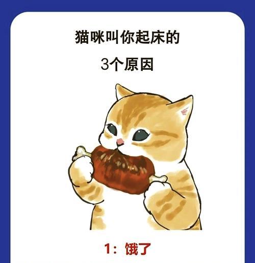 猫粮后猫咪持续叫唤是何原因？