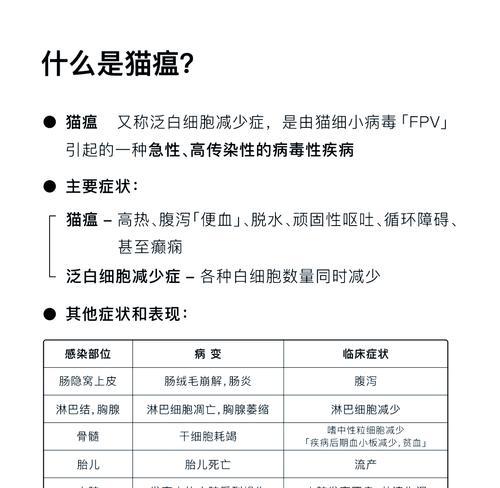 猫瘟期间猫咪食欲不振是什么原因？如何处理？