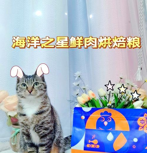 鸡肉昆虫烘焙猫粮好吗？正确的食用方法是什么？