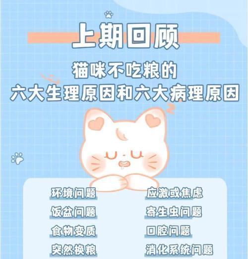 猫咪不吃地上的猫粮应该怎么办？