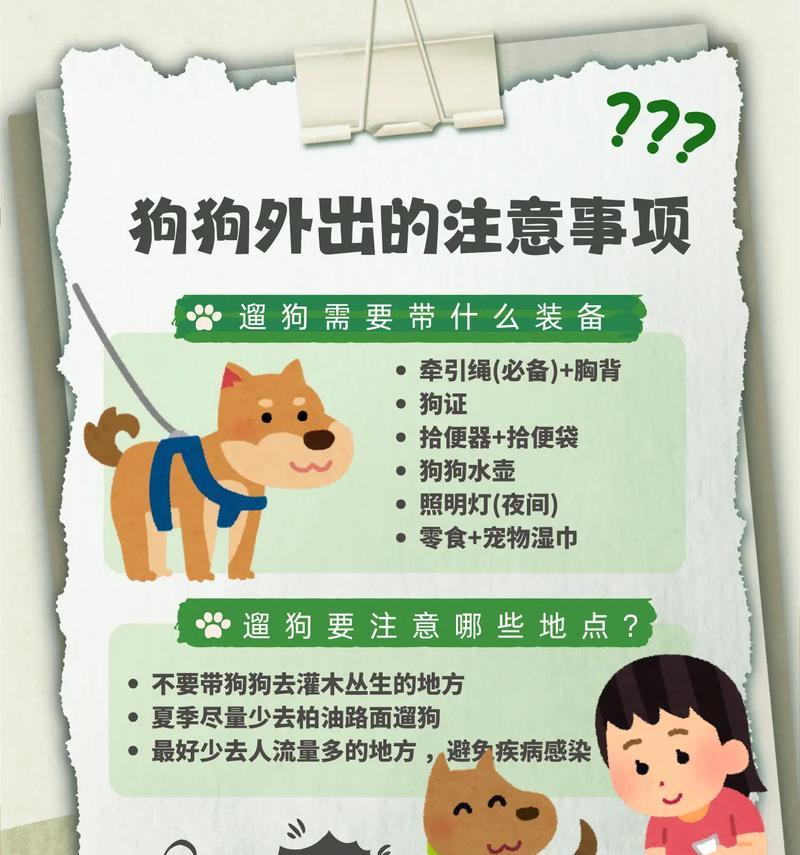 领养宠物时应注意哪些问题？如何做好领养前的准备？