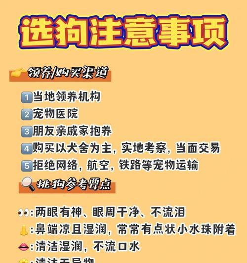 领养宠物时应注意哪些问题？如何做好领养前的准备？