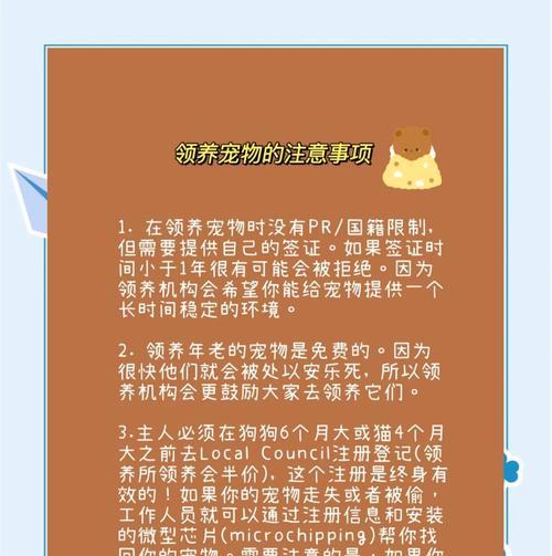 领养宠物时应注意哪些问题？如何做好领养前的准备？