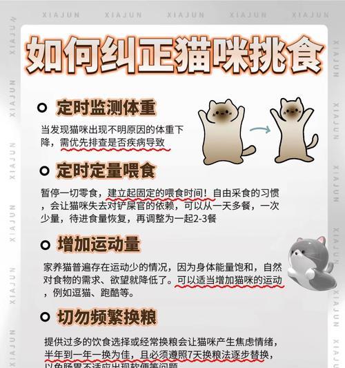 猫挑食就是不吃猫粮怎么办？解决猫咪挑食的方法有哪些？