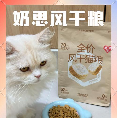 风干猫粮太硬影响猫咪进食怎么办？有没有软化的方法？