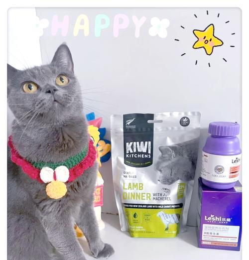 风干猫粮太硬影响猫咪进食怎么办？有没有软化的方法？