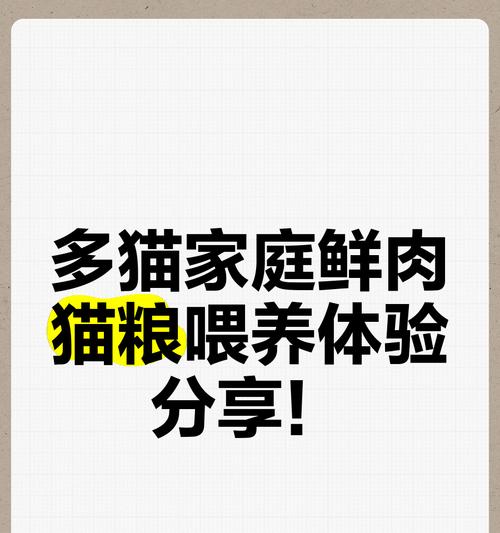 多猫家庭如何正确喂食猫粮？