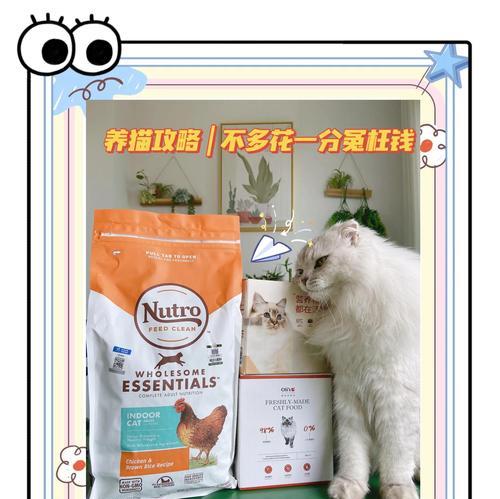 多猫家庭如何正确喂食猫粮？