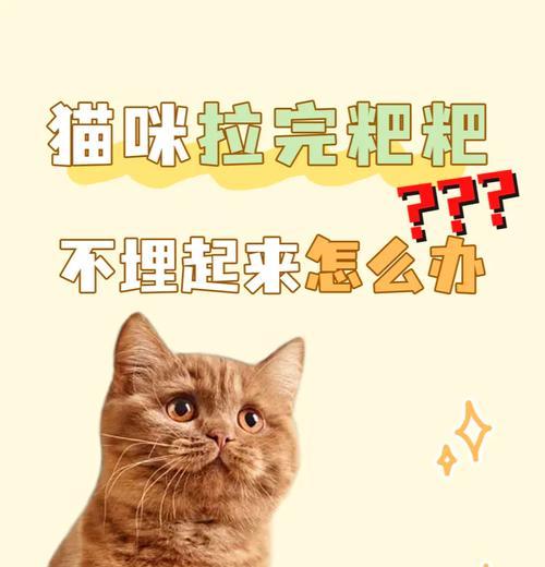 猫咪吃完猫粮后为何会埋屎？这是否表示它不喜欢食物？