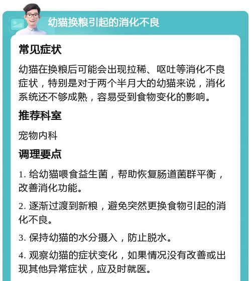 猫咪换粮后呕吐严重怎么办？