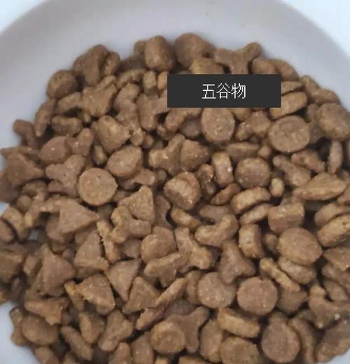 黑下巴适合什么猫粮？如何选择合适的猫粮？