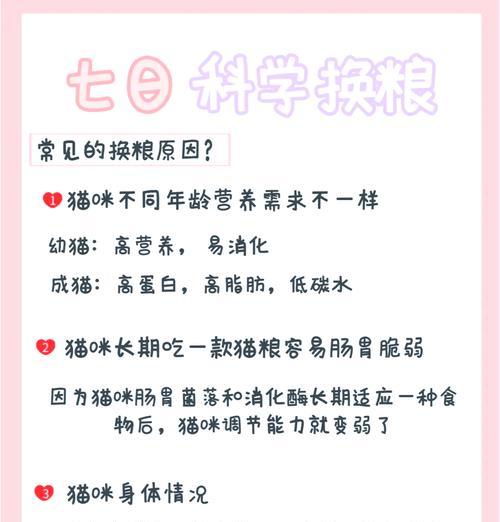 可替换猫粮盆的使用方法是什么？如何正确使用？