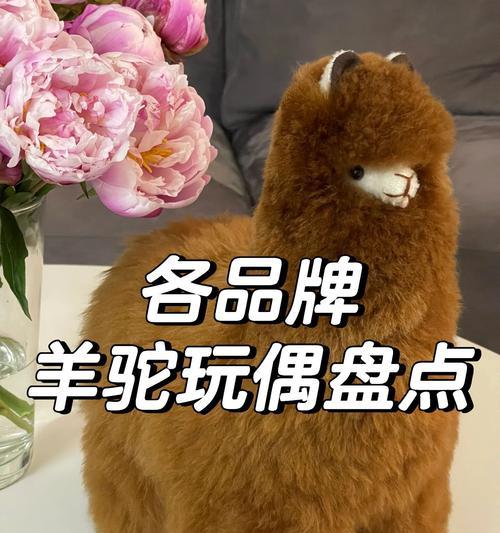 羊驼狮子玩具的正确玩法是什么？如何通过玩具与羊驼互动？