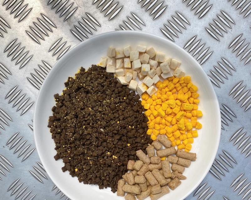 干猫粮中可添加哪些食物共同食用？