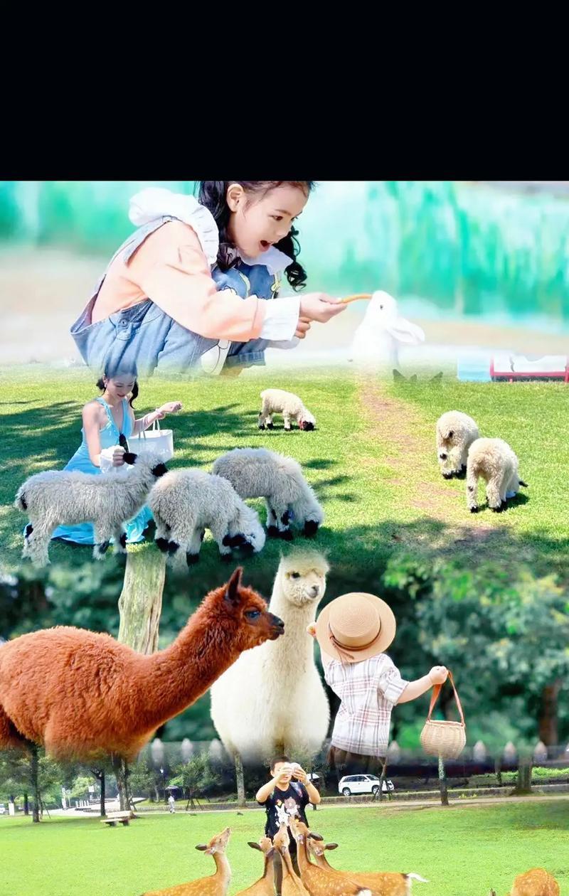 带宝宝参观羊驼馆应该注意什么？