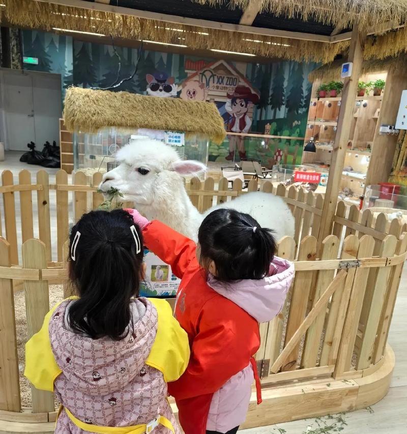 带宝宝参观羊驼馆应该注意什么？