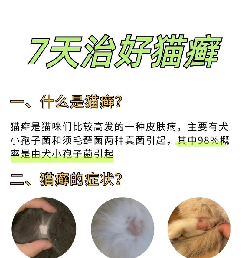 猫粮导致的猫癣应如何治疗？