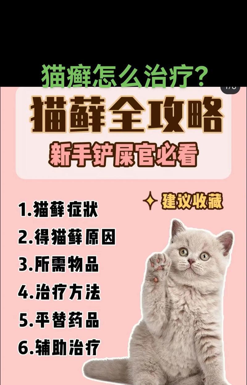 猫粮导致的猫癣应如何治疗？