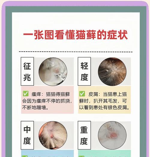 猫粮导致的猫癣应如何治疗？