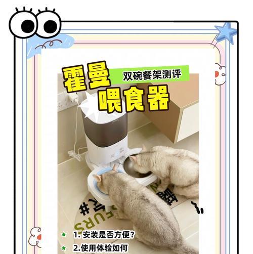 猫粮双盆喂食器的正确使用方法是什么？