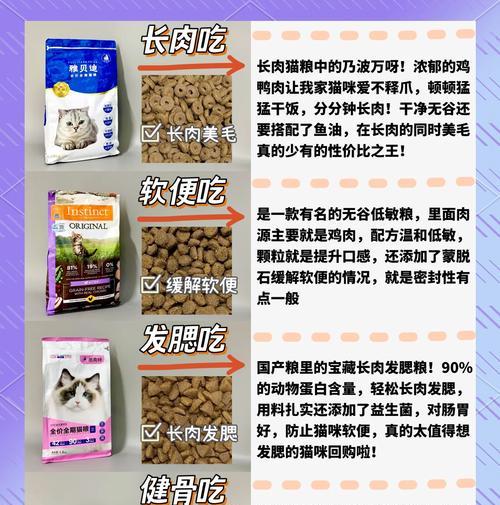 猫粮腥味重的原因是什么？如何减少腥味？