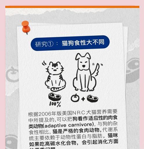 猫咪偷吃戴手铐的猫粮怎么处理？有效防止方法是什么？