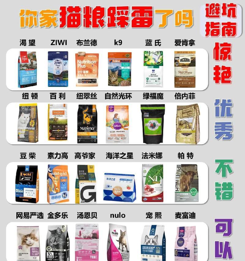 夏季猫咪适宜的猫粮有哪些？如何选择？