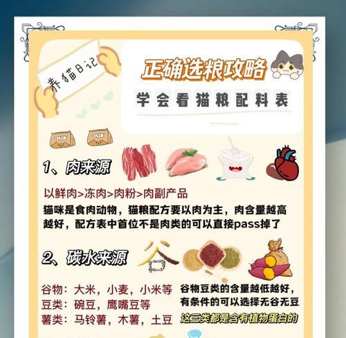 夏季猫咪适宜的猫粮有哪些？如何选择？