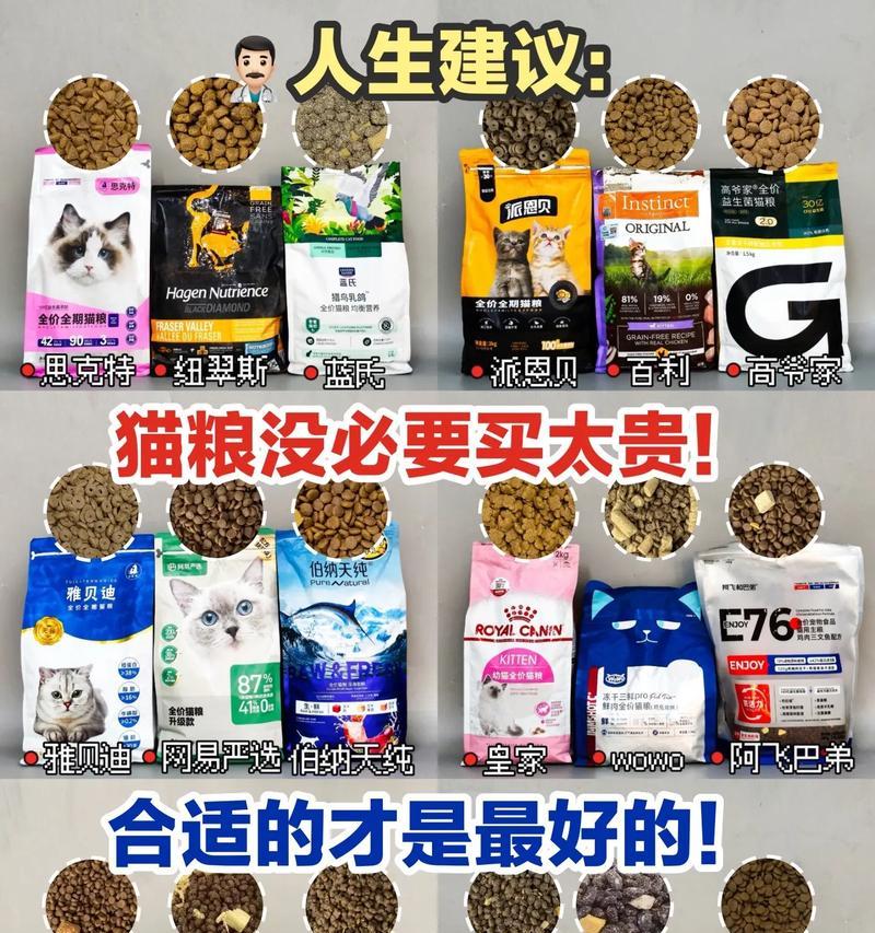 小猫满月都吃什么猫粮？给猫猫粮怎么给猫吃？