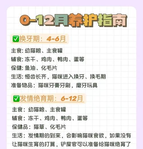 布偶猫从小如何喂食以增重？