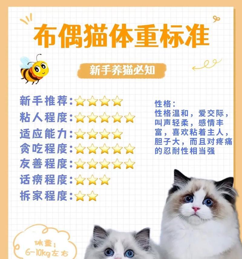 布偶猫从小如何喂食以增重？