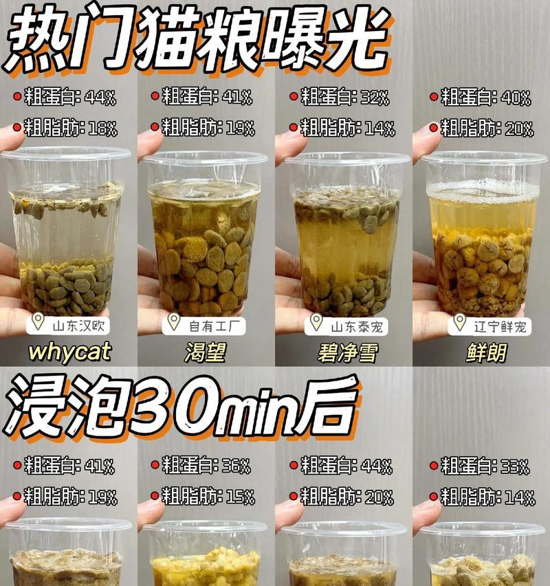 猫粮泡水有什么好处和坏处？