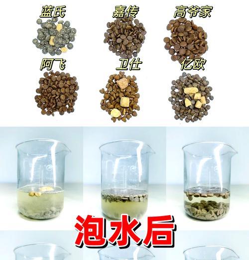 猫粮泡水有什么好处和坏处？