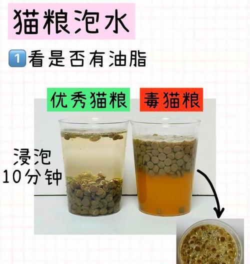 猫粮泡水有什么好处和坏处？