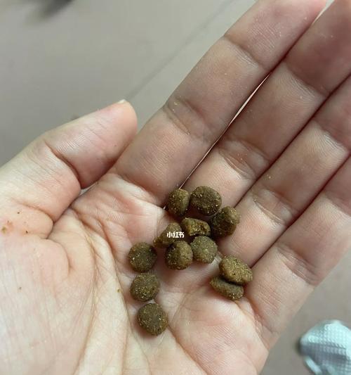 猫粮存放多久会受潮？原因是什么？
