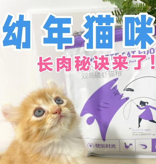 幼猫如何正确食用增肥猫粮？有哪些注意事项？