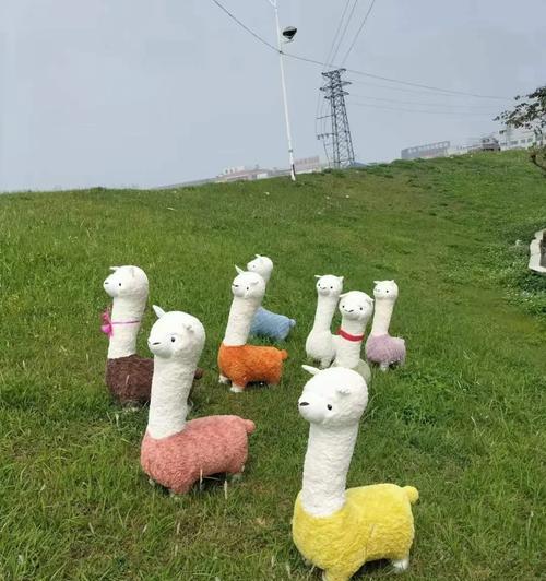 绿色地毯对羊驼有何影响？