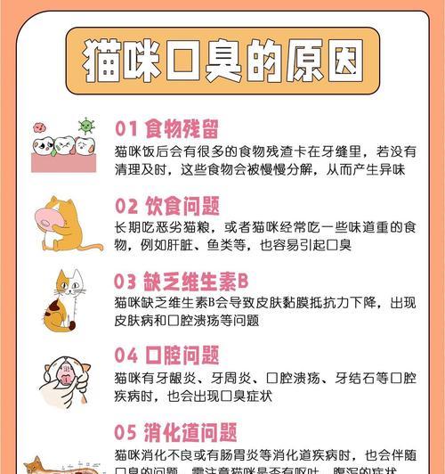 猫咪吃猫粮后口臭是正常的吗？原因是什么？