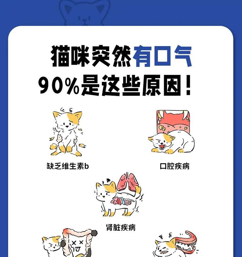 猫咪吃猫粮后口臭是正常的吗？原因是什么？