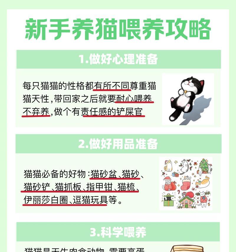 徒手喂猫粮安全吗？有没有更好的方法？