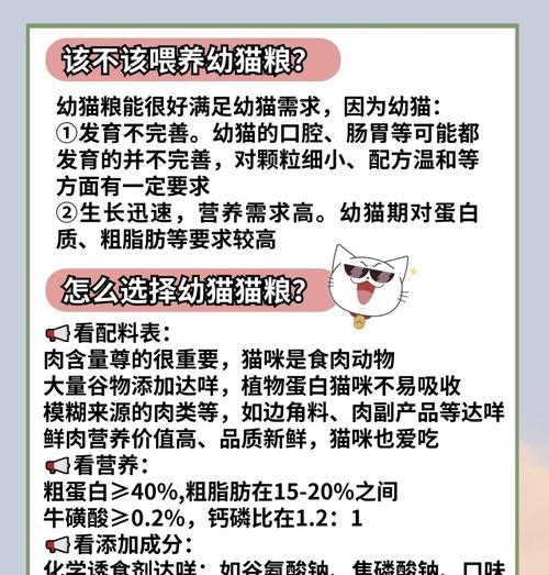 猫粮粘在碗底是什么原因？如何预防？