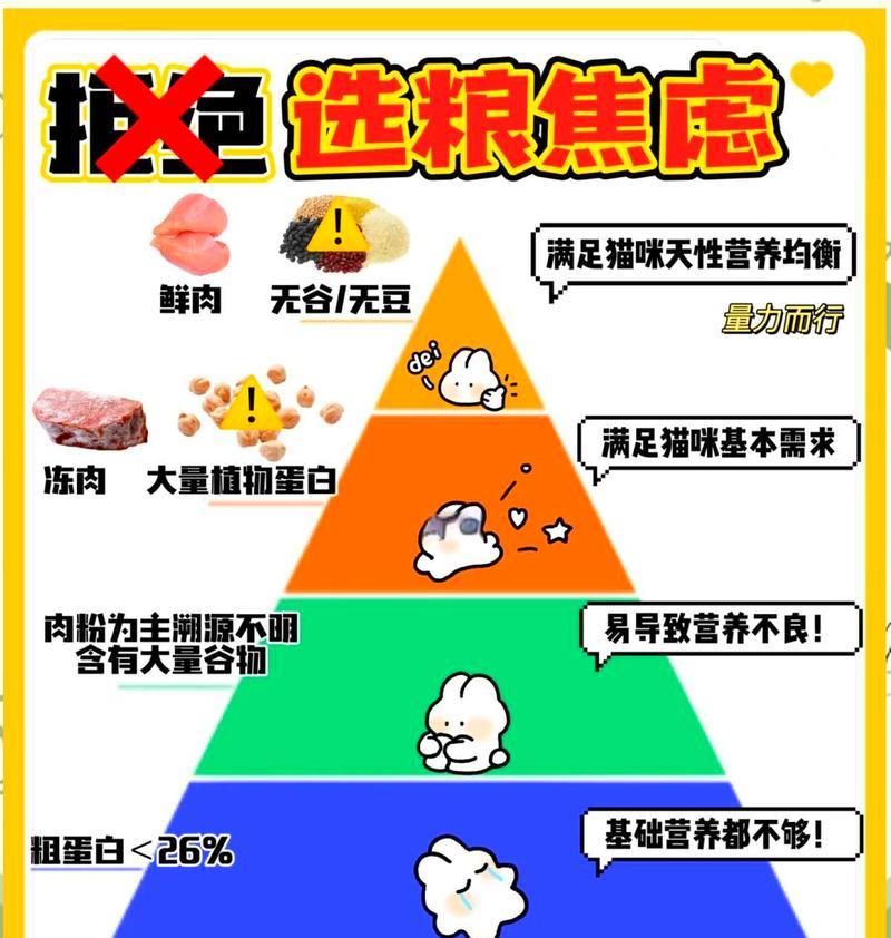 如何在餐桌上优雅地放置猫粮？猫粮放置有哪些礼仪讲究？