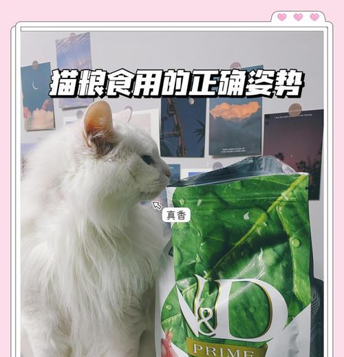 如何在餐桌上优雅地放置猫粮？猫粮放置有哪些礼仪讲究？