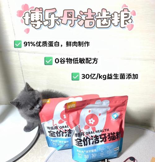 哪种猫粮能有效预防猫咪口臭？