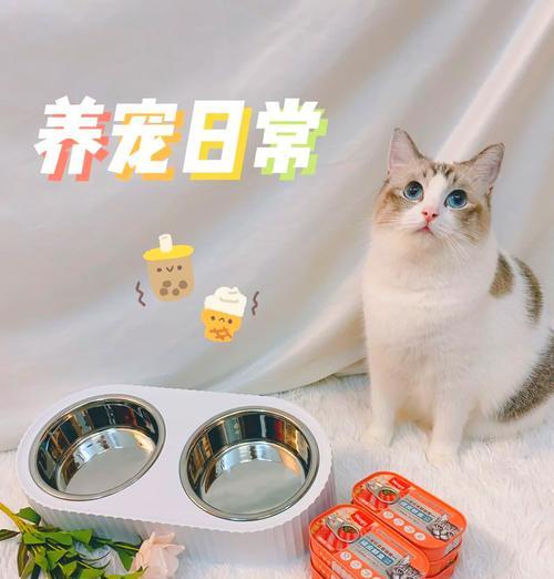 猫碗里需要一直保持猫粮吗？这样做有什么好处？