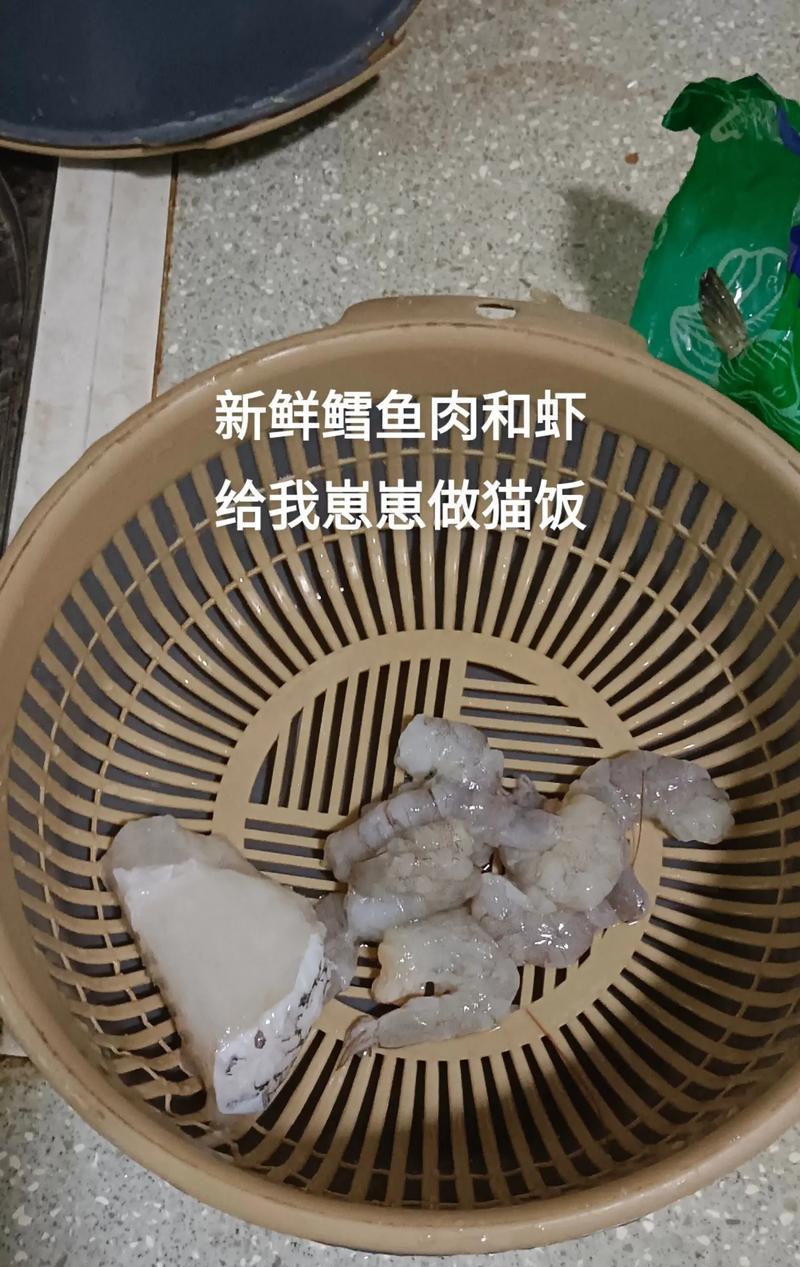 小猫全是猫粮怎么办？猫粮米饭怎么喂猫好消化？