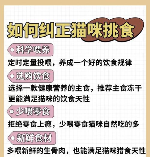 家中缺少猫粮时如何解决小猫挑食问题？