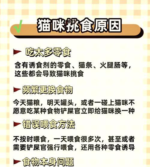 家中缺少猫粮时如何解决小猫挑食问题？